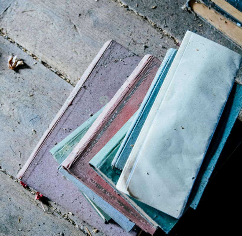 Vincent Vega's letters and journal entries. 