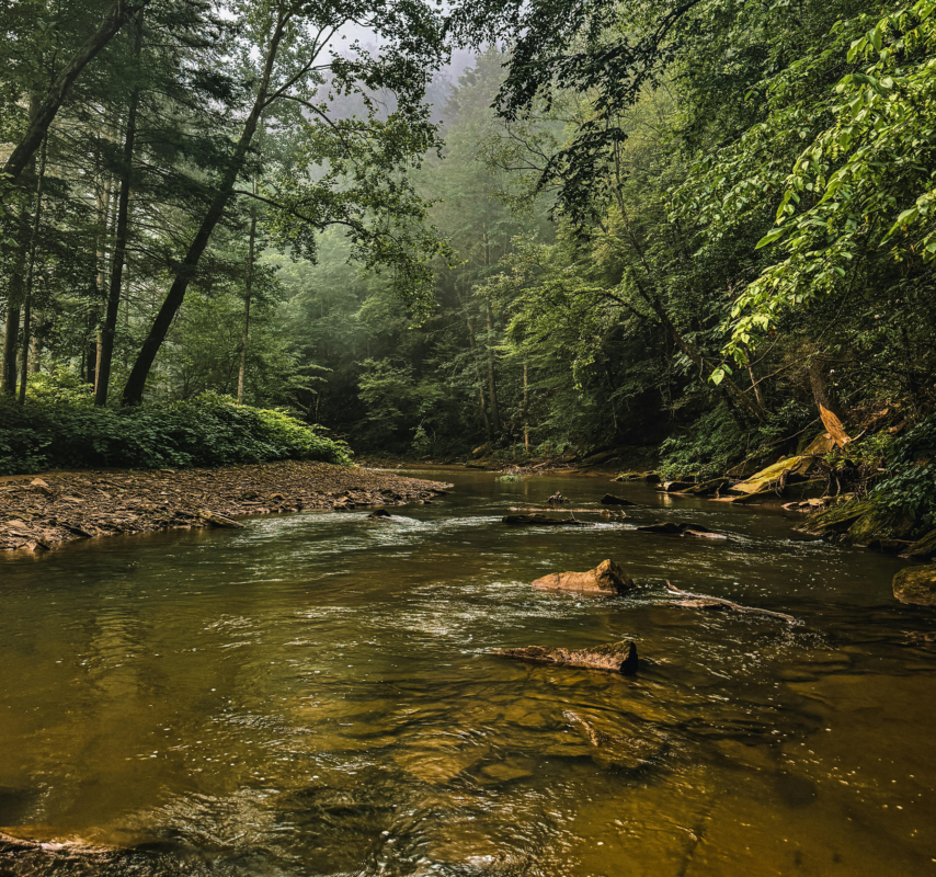 Kentucky creek prohibition era bootlegger story.